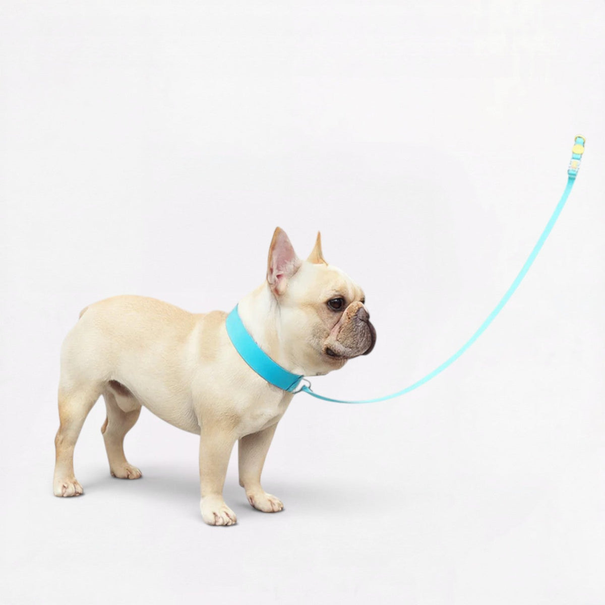 French Bulldog collar with a reinforced zinc alloy connection that resists deformation