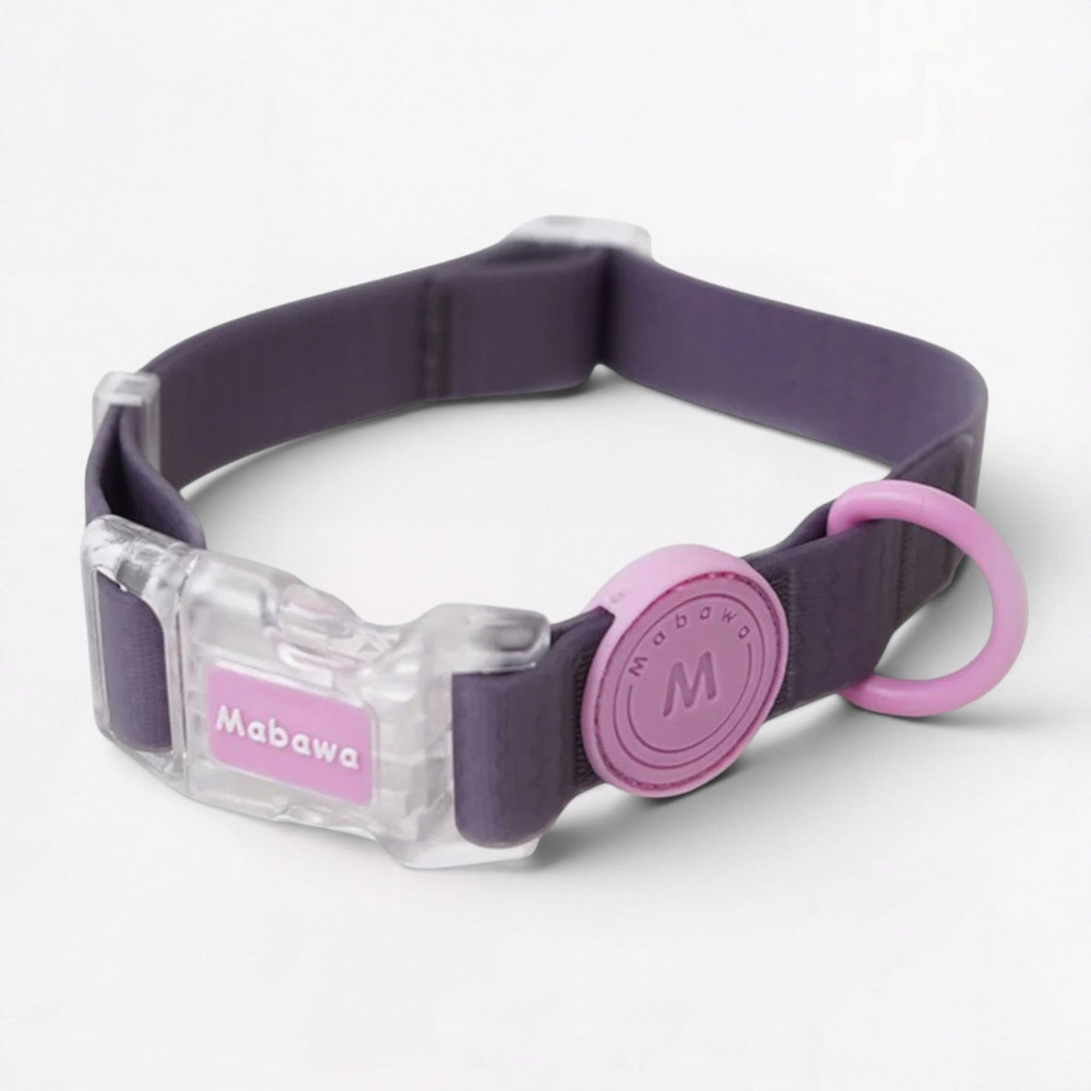 French Bulldog silicone coated collar and leash set in green