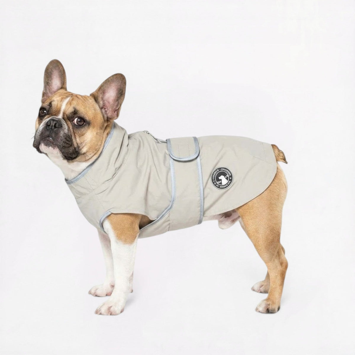 French Bulldog waterproof and windproof winter coat built for heavy weather
