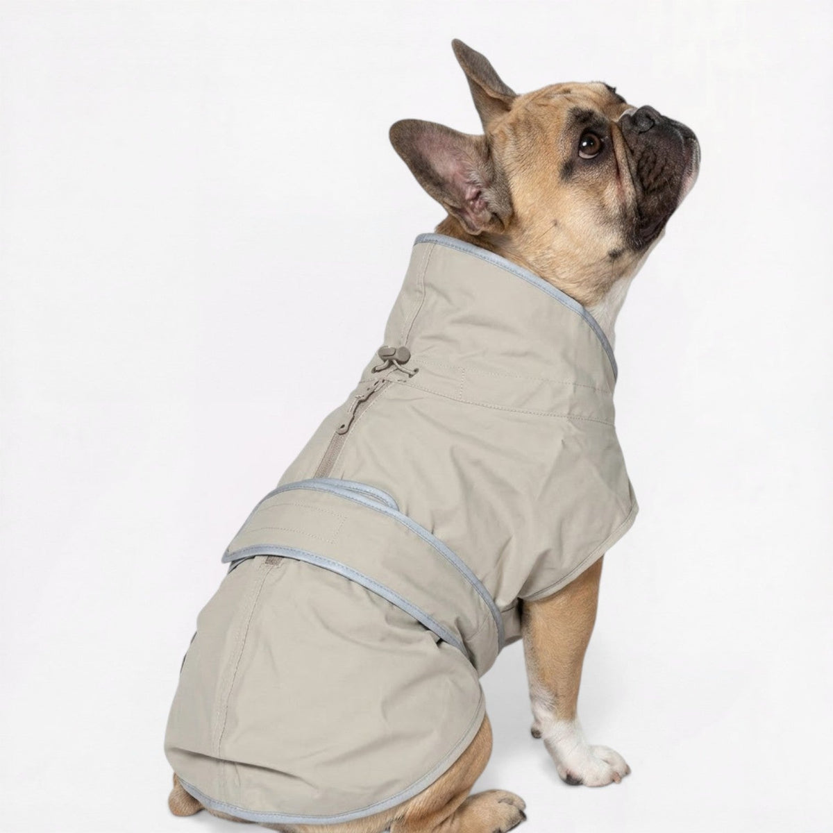 Waterproof French Bulldog coat with an adjustable belly strap, sizes S to 9XL