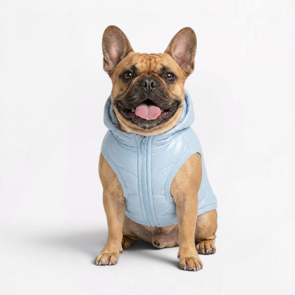 Waterproof French Bulldog vest in blue, in sizes S to 3XL