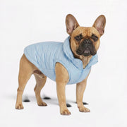 French Bulldog waterproof hooded vest, quilted with a fleece lining