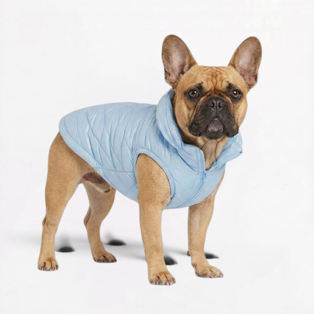 French Bulldog waterproof hooded vest, quilted with a fleece lining