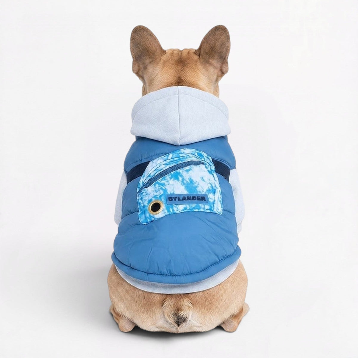 Waterproof winter jacket for French Bulldogs cut close without restricting movement