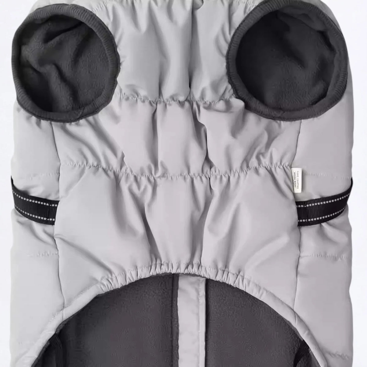 Frenchie-Winter-Coat-with-Harness.jpg