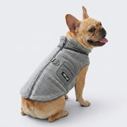Frenchie-Winter-Dog-Vest.jpg