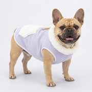 Frenchie-Winter-Dog-Vest-with-Leash-Ring.jpg