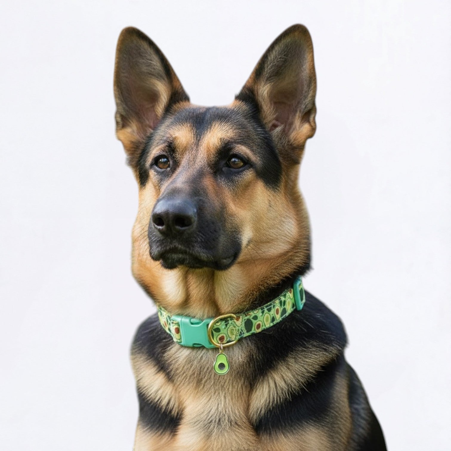 Fruit-Themed-Dog-Collar.jpg