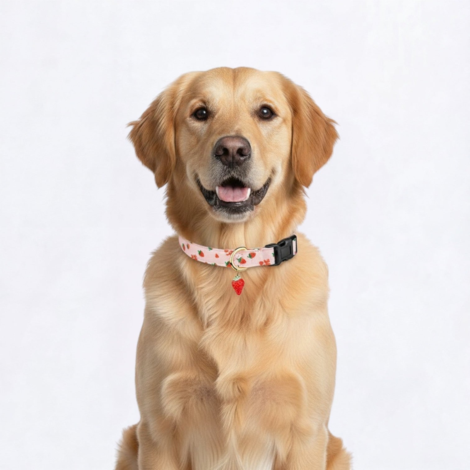 Fruit-Themed-Dog-Collar.jpg