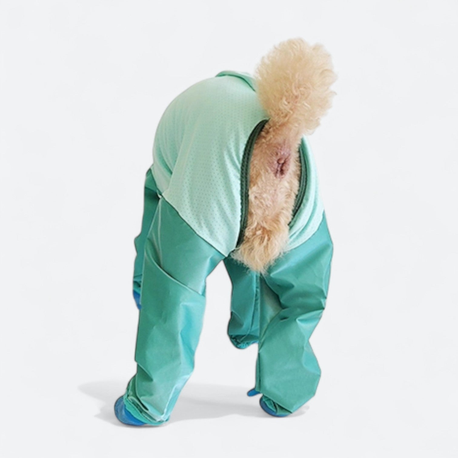 Full-Body-Dog-Rain-Jumpsuit-with-Shoes.jpg