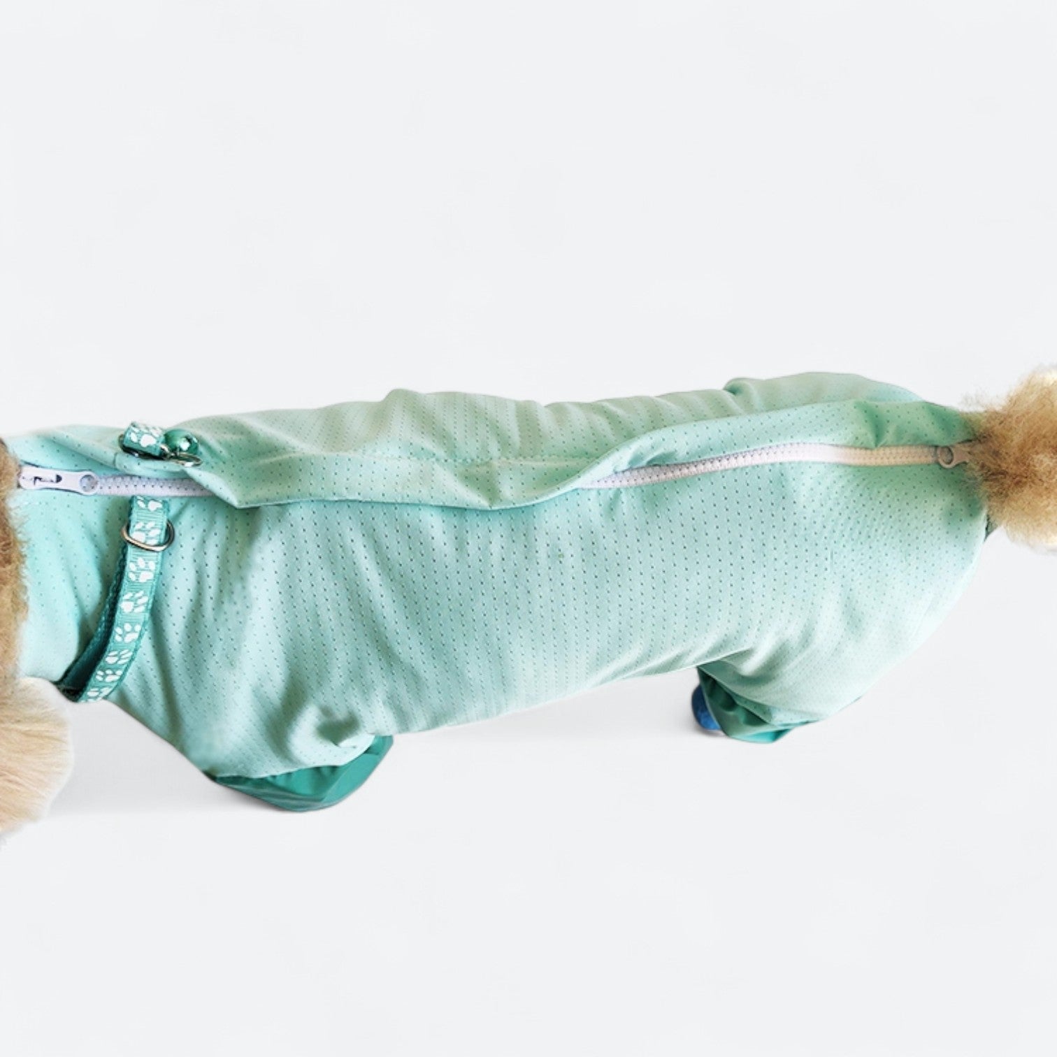 Full-Body-Dog-Rain-Jumpsuit-with-Shoes.jpg