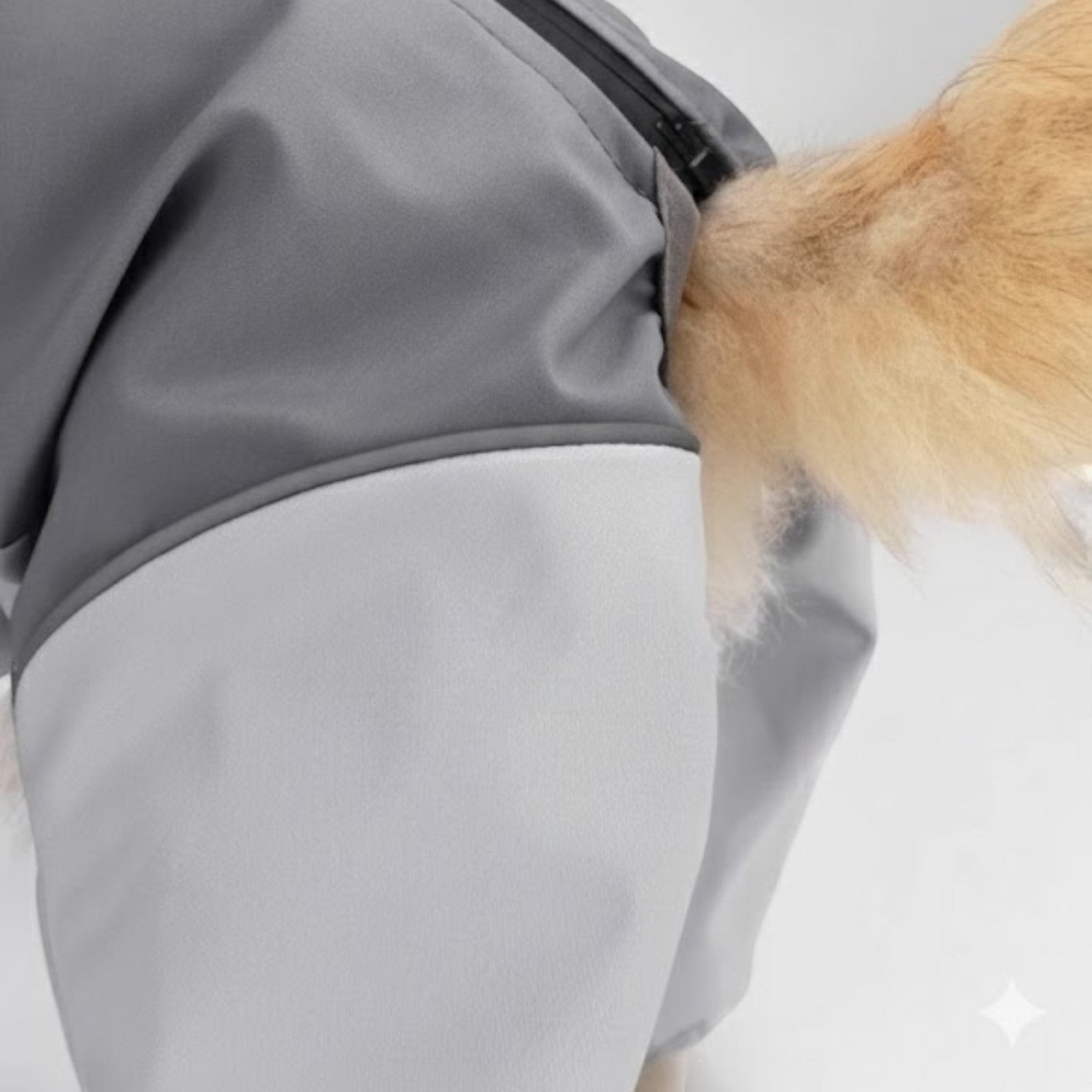 Full-Body-Dog-Raincoat.jpg