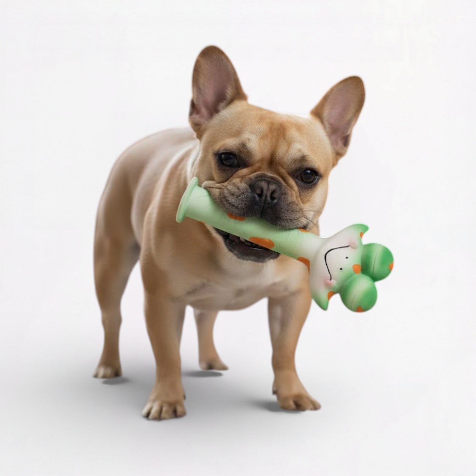 Funny-Latex-Squeaky-Dog-Toy.jpg
