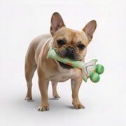 Funny-Latex-Squeaky-Dog-Toy.jpg