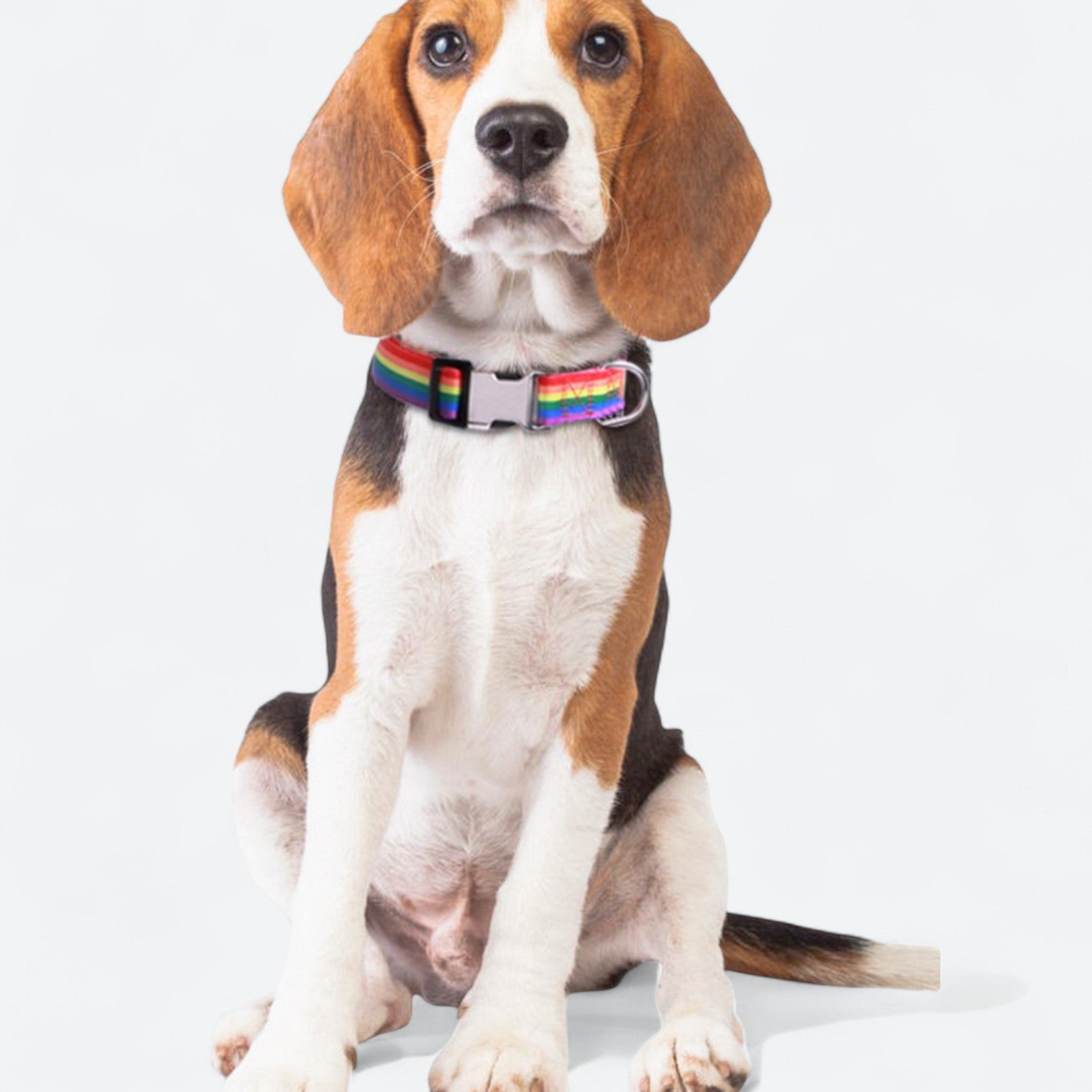 Galaxy-Print-Dog-Collar.jpg
