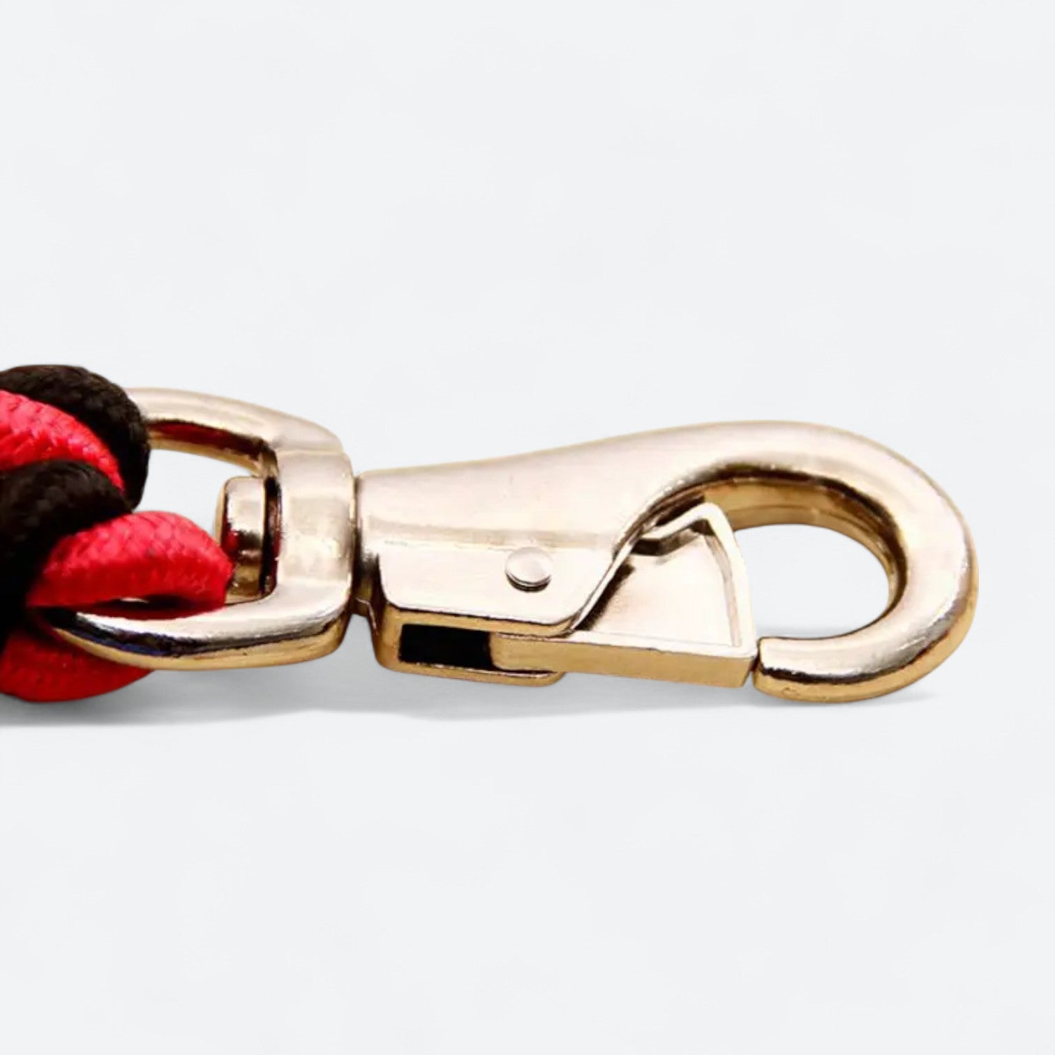 Heavy-Duty-Braided-Nylon-Dog-Leash.jpg