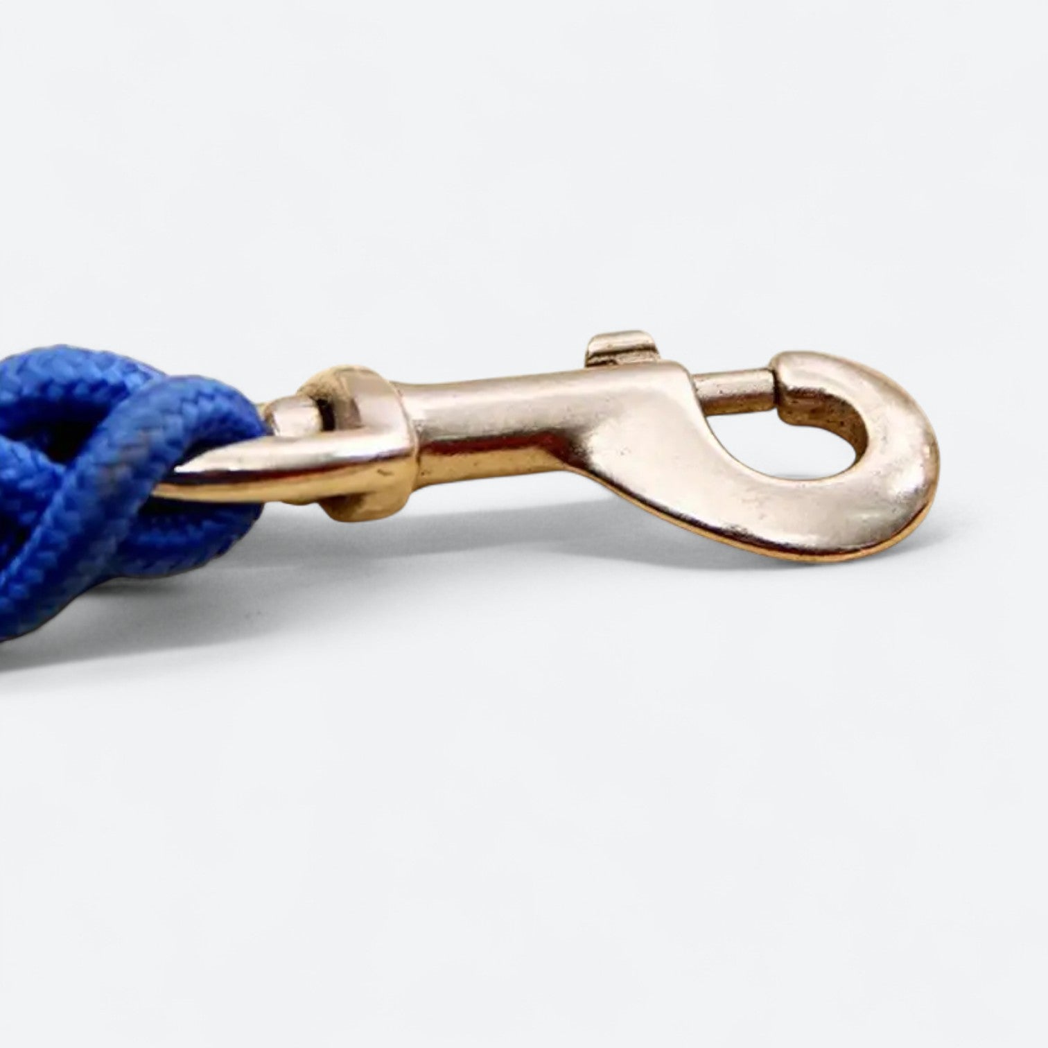 Heavy-Duty-Braided-Nylon-Dog-Leash.jpg