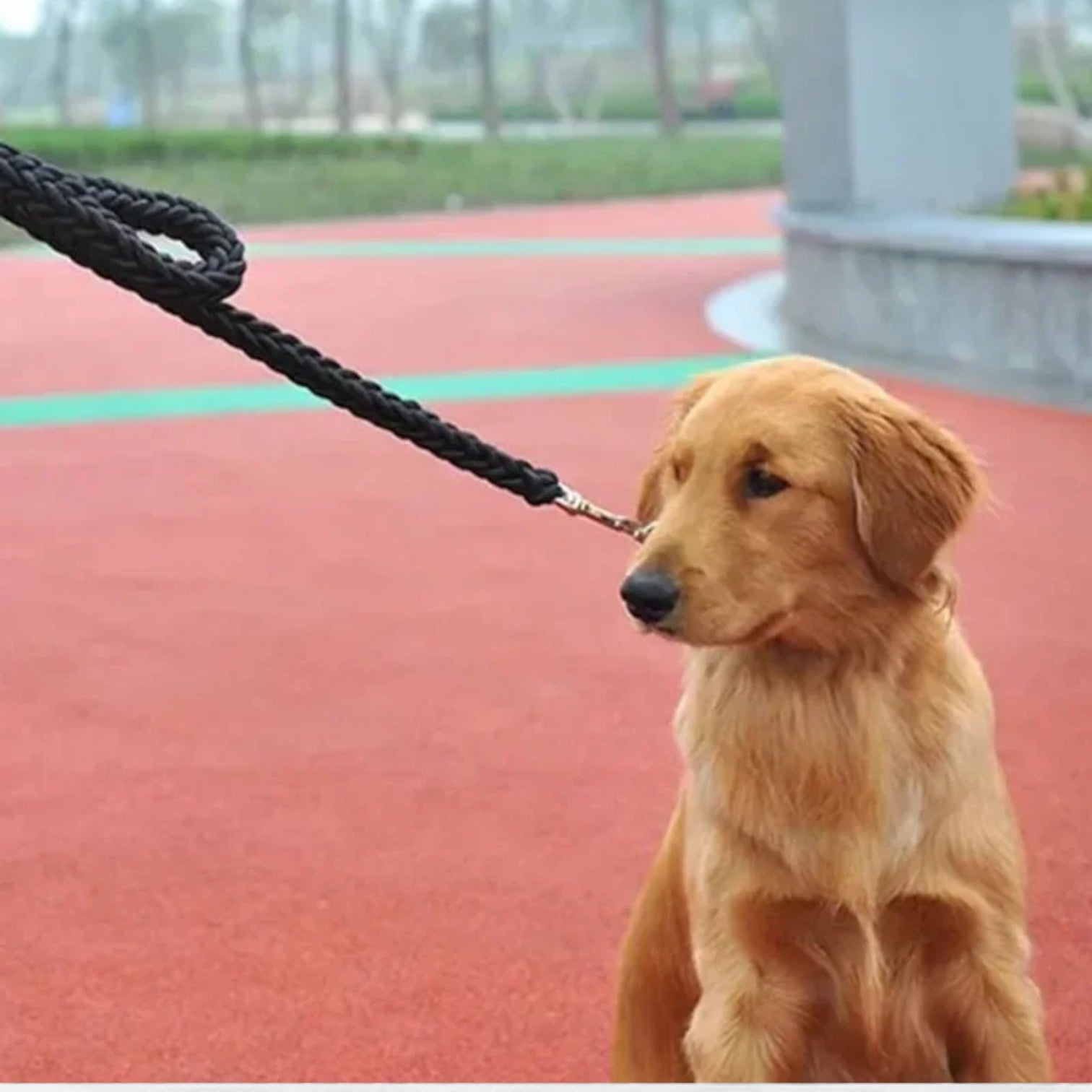Heavy-Duty-Braided-Nylon-Dog-Leash.jpg