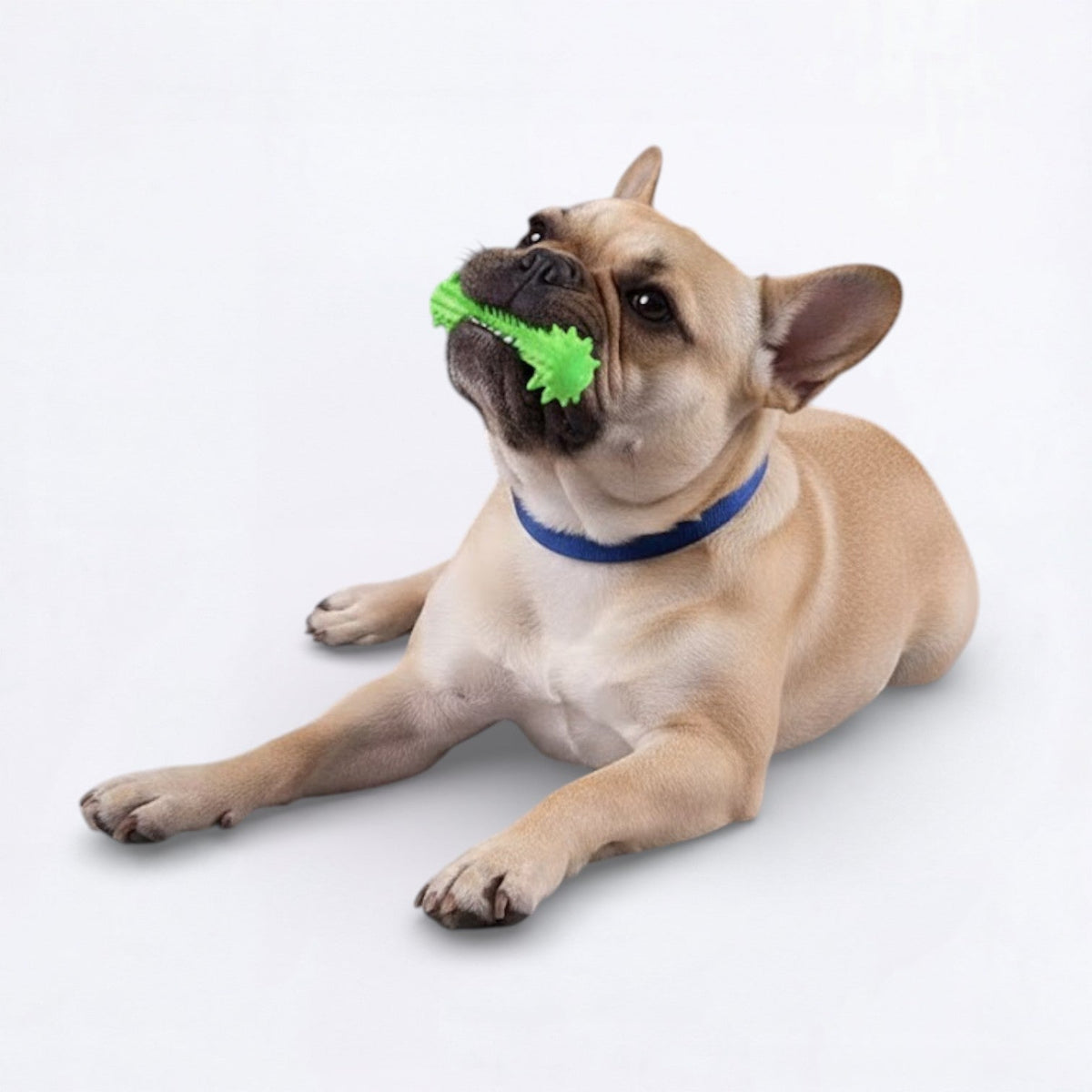 Indestructible-Dog-Dental-Chew-Stick-Toy.jpg