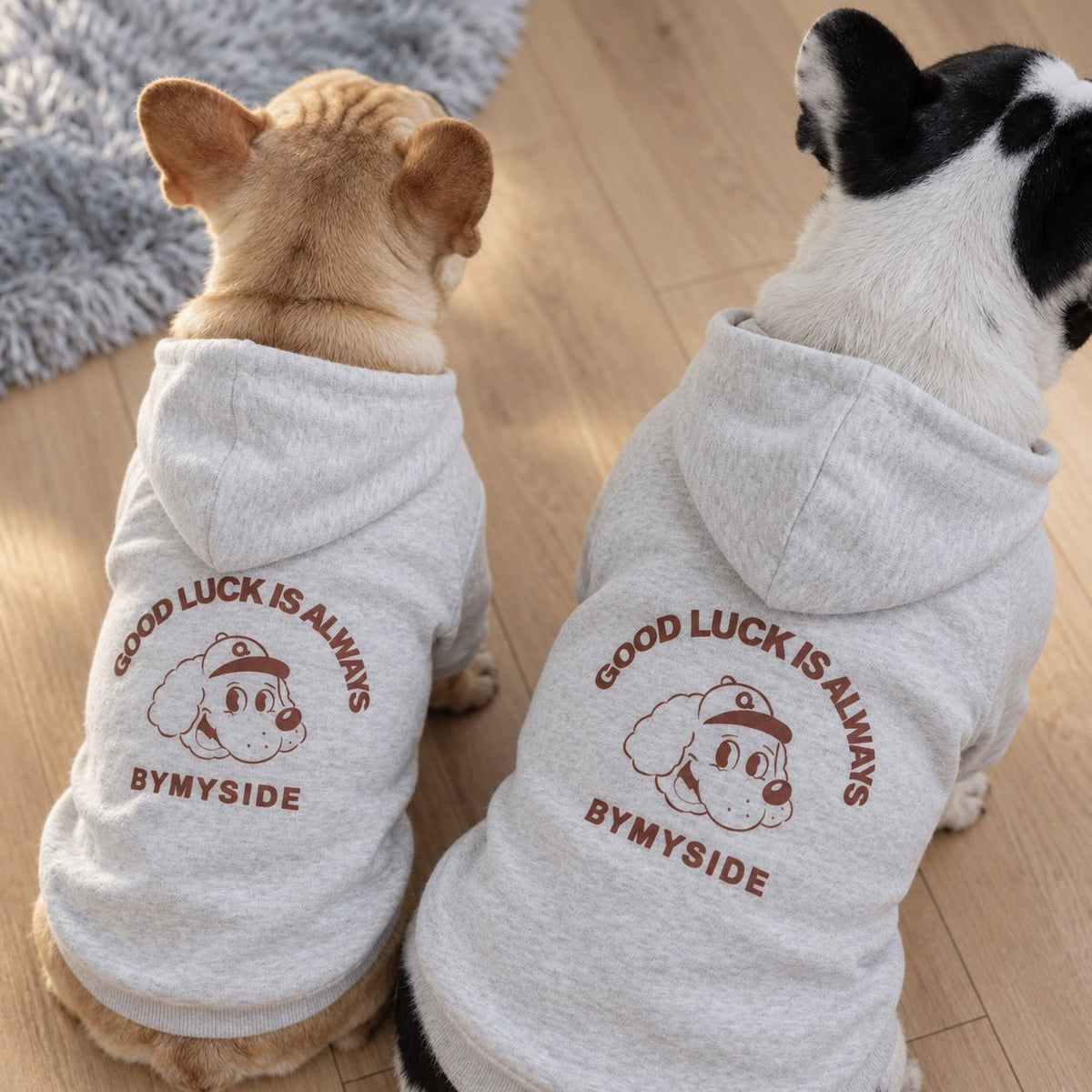Stretch-body French Bulldog hoodie cut for a wide ribcage