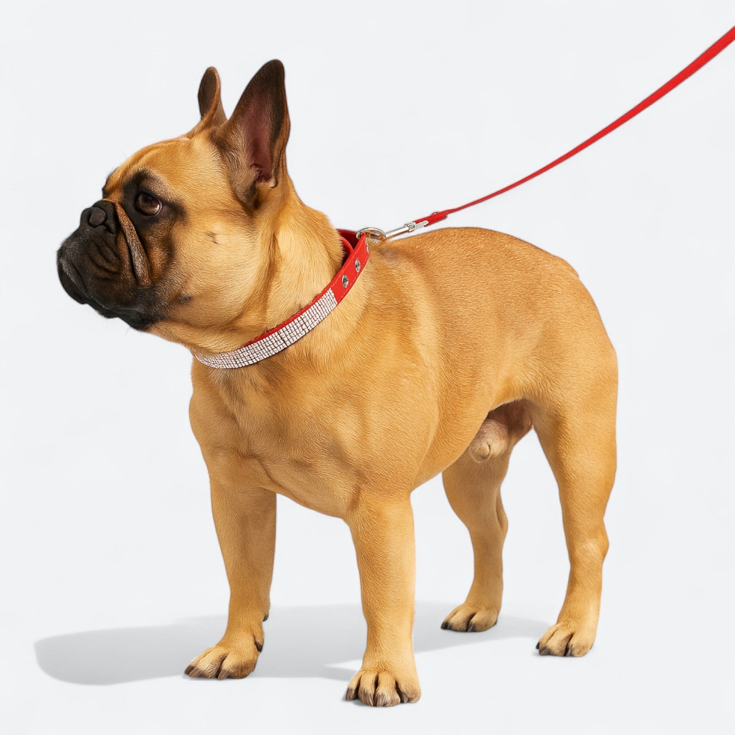 Luxurious-Rhinestone-Dog-Collar-Leash-Set.jpg