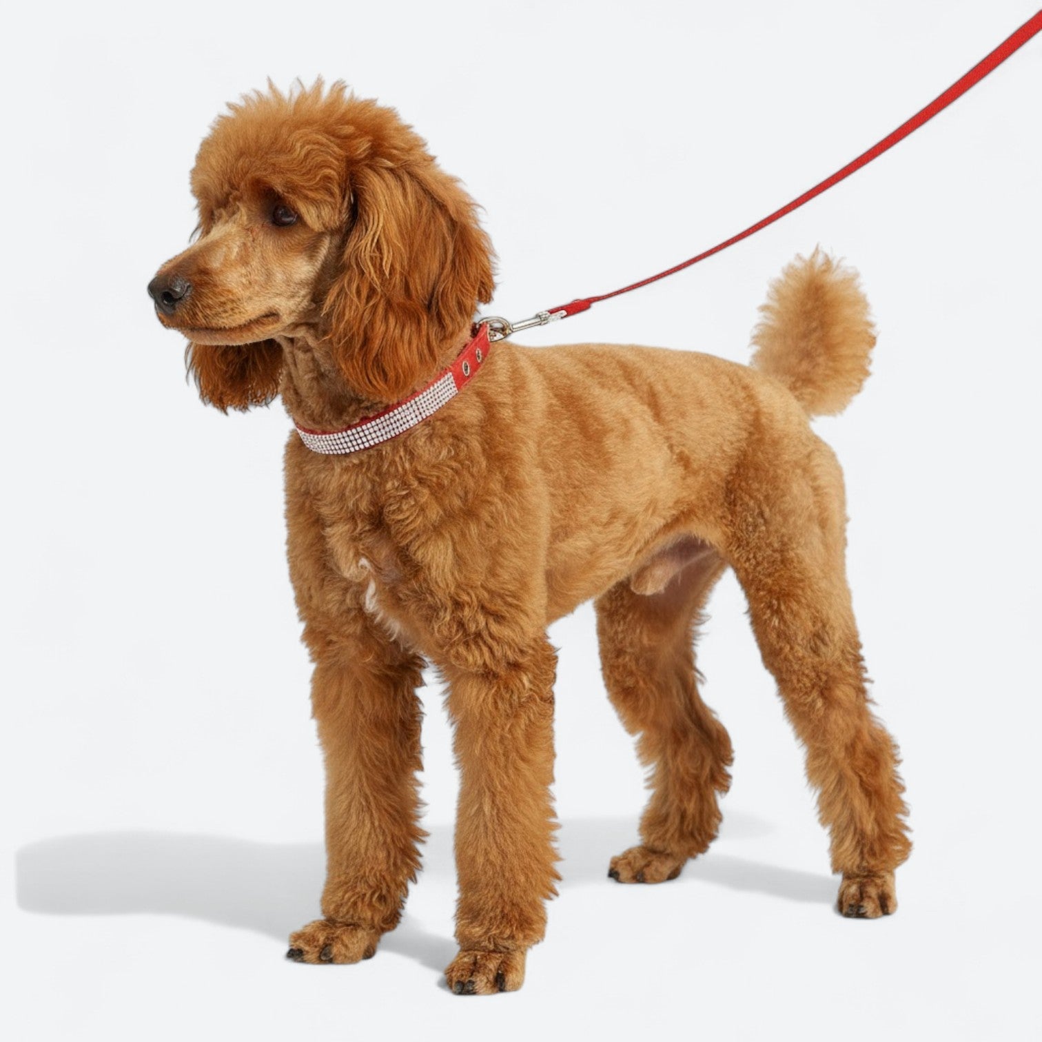 Luxurious-Rhinestone-Dog-Collar-Leash-Set.jpg