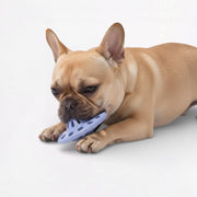 Meow-Wow-Light-Up-Sounding-Dog-Toy.jpg