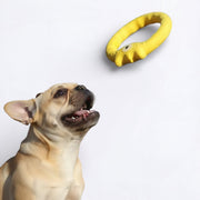 Monster-Dog-Frisbee-Chew-Toy.jpg
