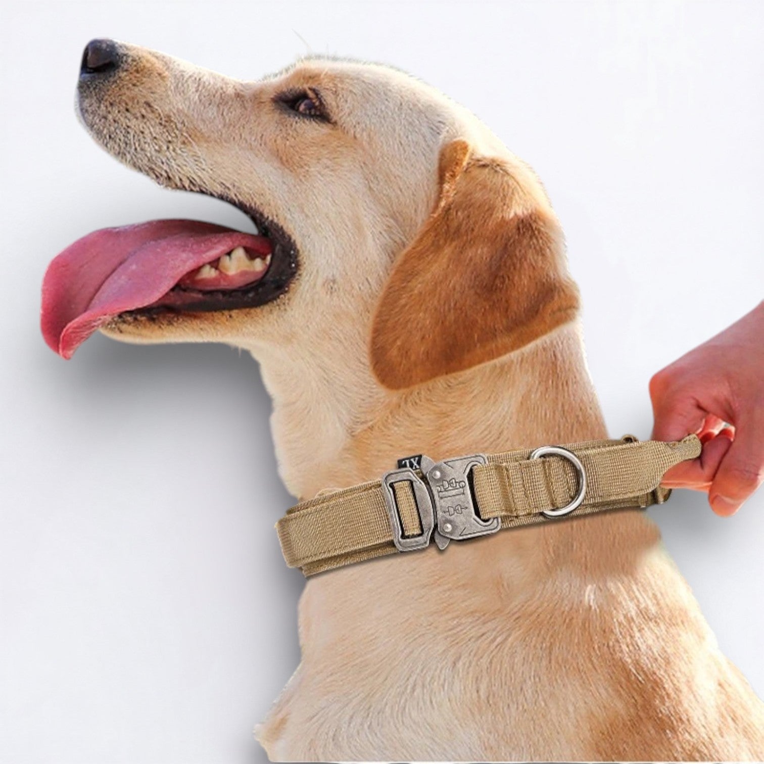Nylon-Dog-Collar-Leash-Set.jpg