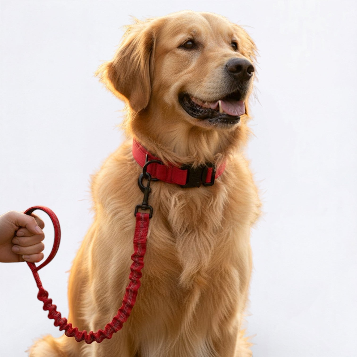 Nylon-Dog-Collar-Leash-Set.jpg