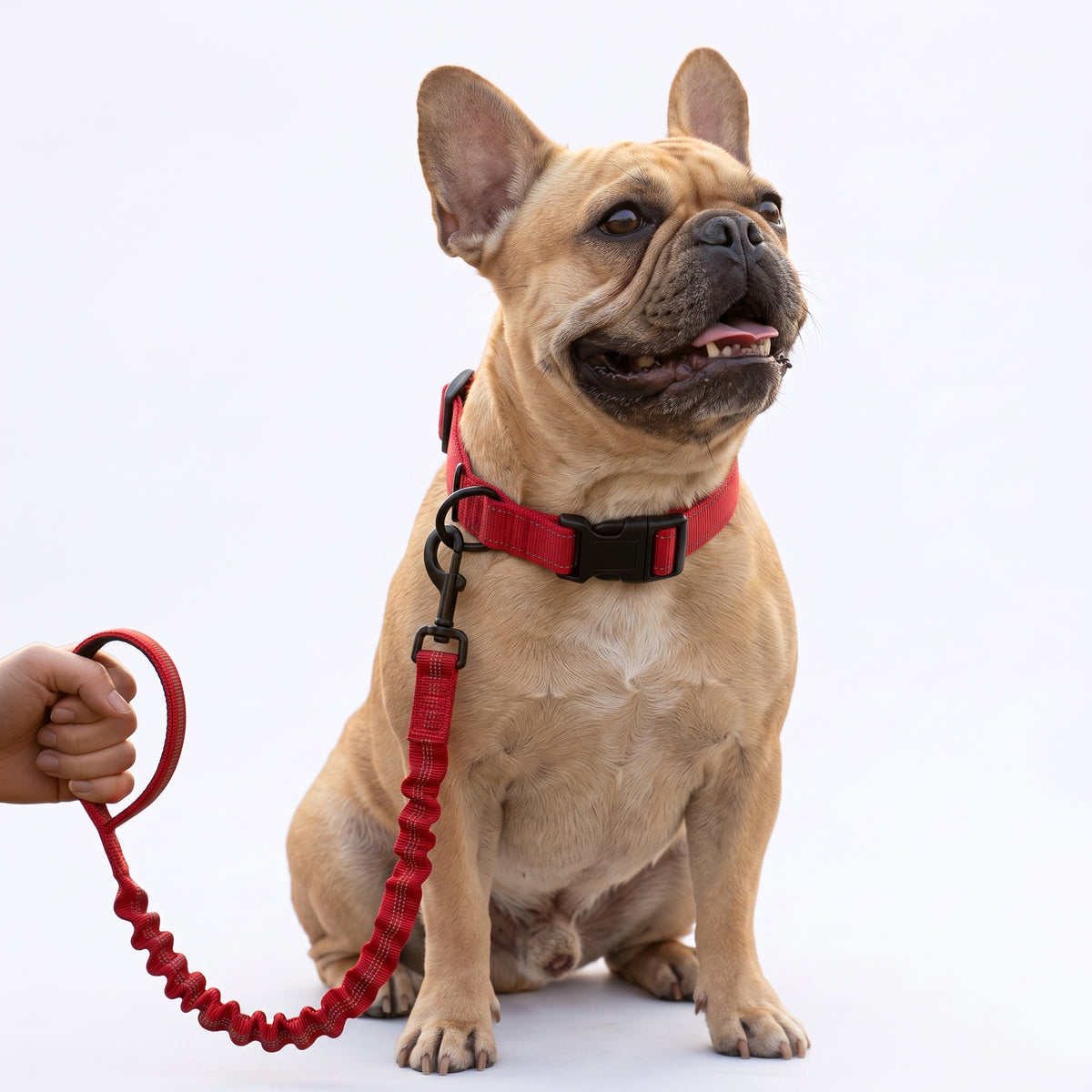 Nylon-Dog-Collar-Leash-Set.jpg