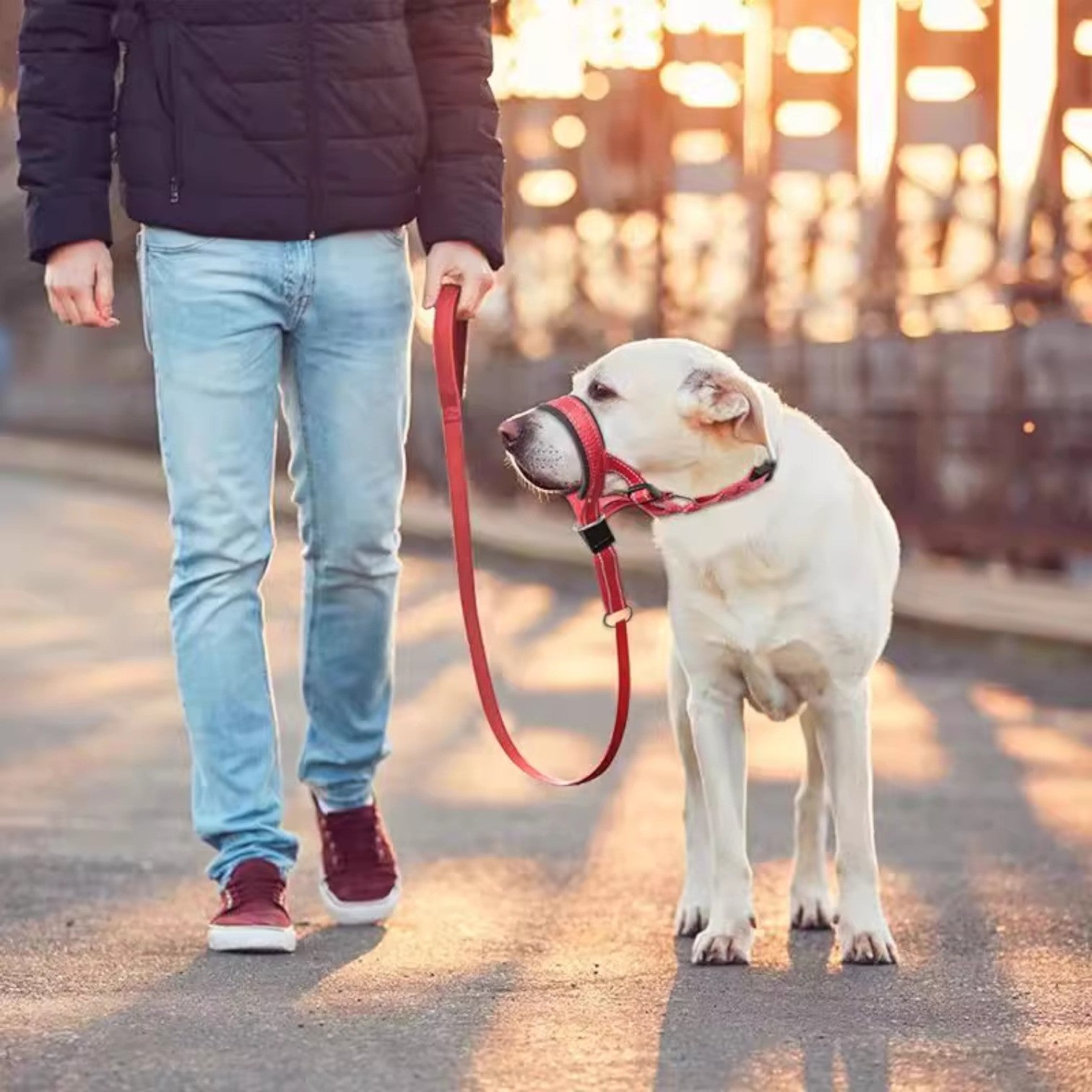 Reflective-Dog-Mouth-Muzzle-with-Collar.jpg