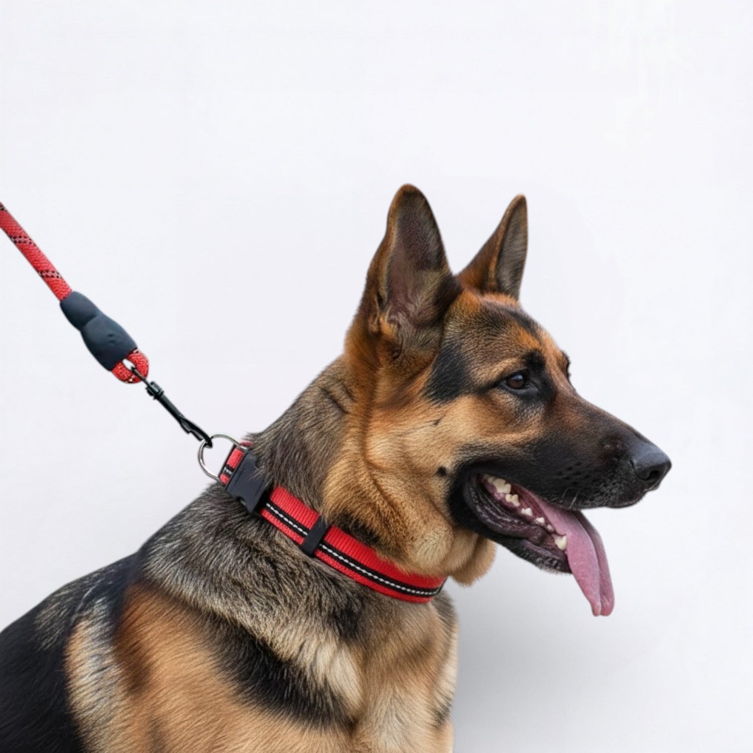 Reflective-Nylon-Dog-Collar-Leash-Set.jpg