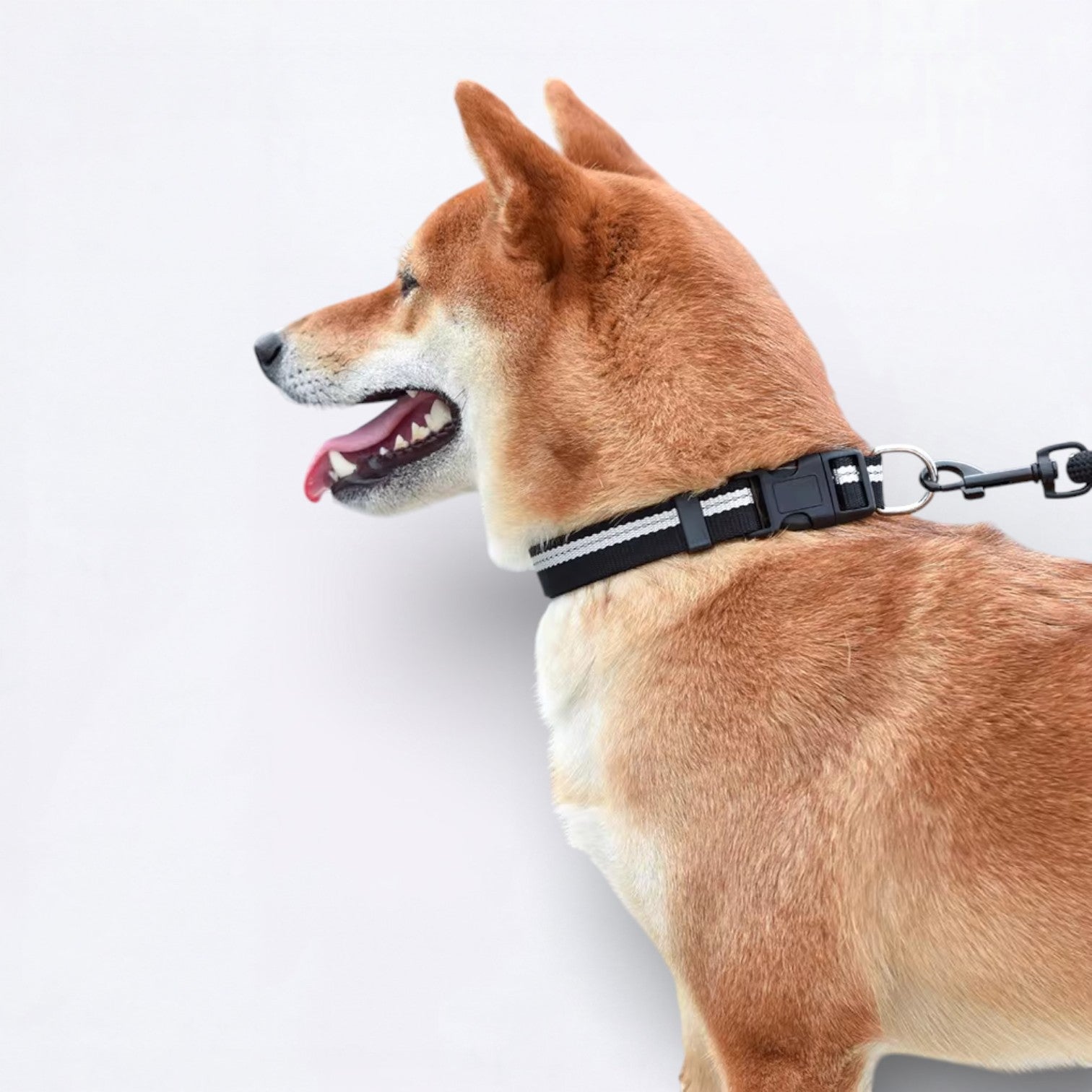 Reflective-Nylon-Dog-Collar-Leash-Set.jpg