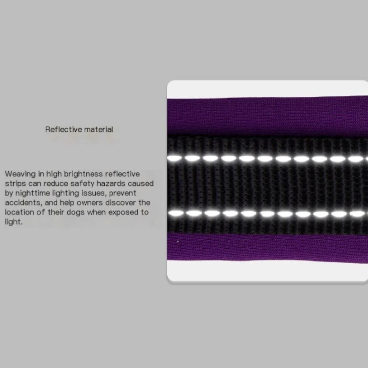 Reflective-Soft-Padded-Dog-Collar.jpg