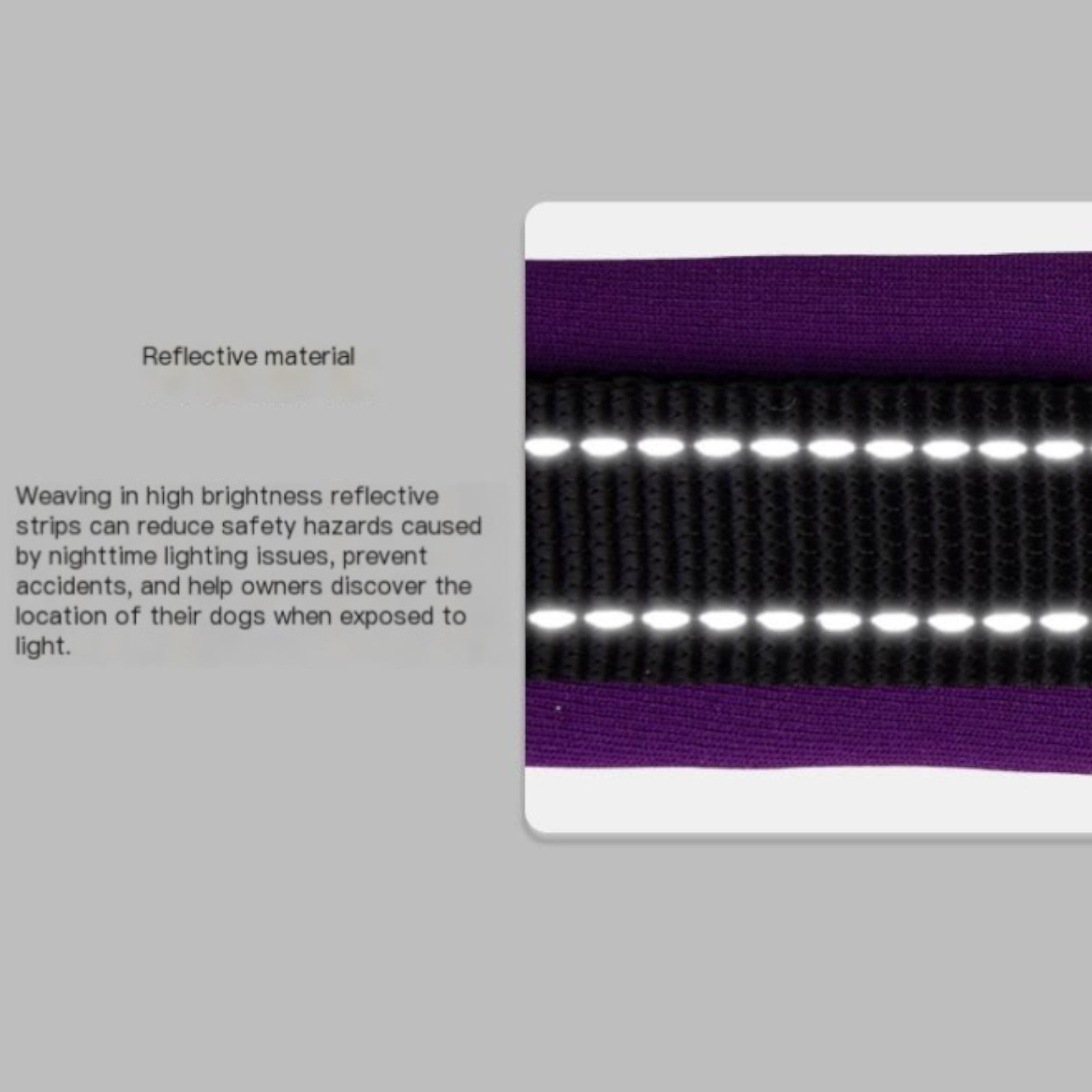 Reflective-Soft-Padded-Dog-Collar.jpg