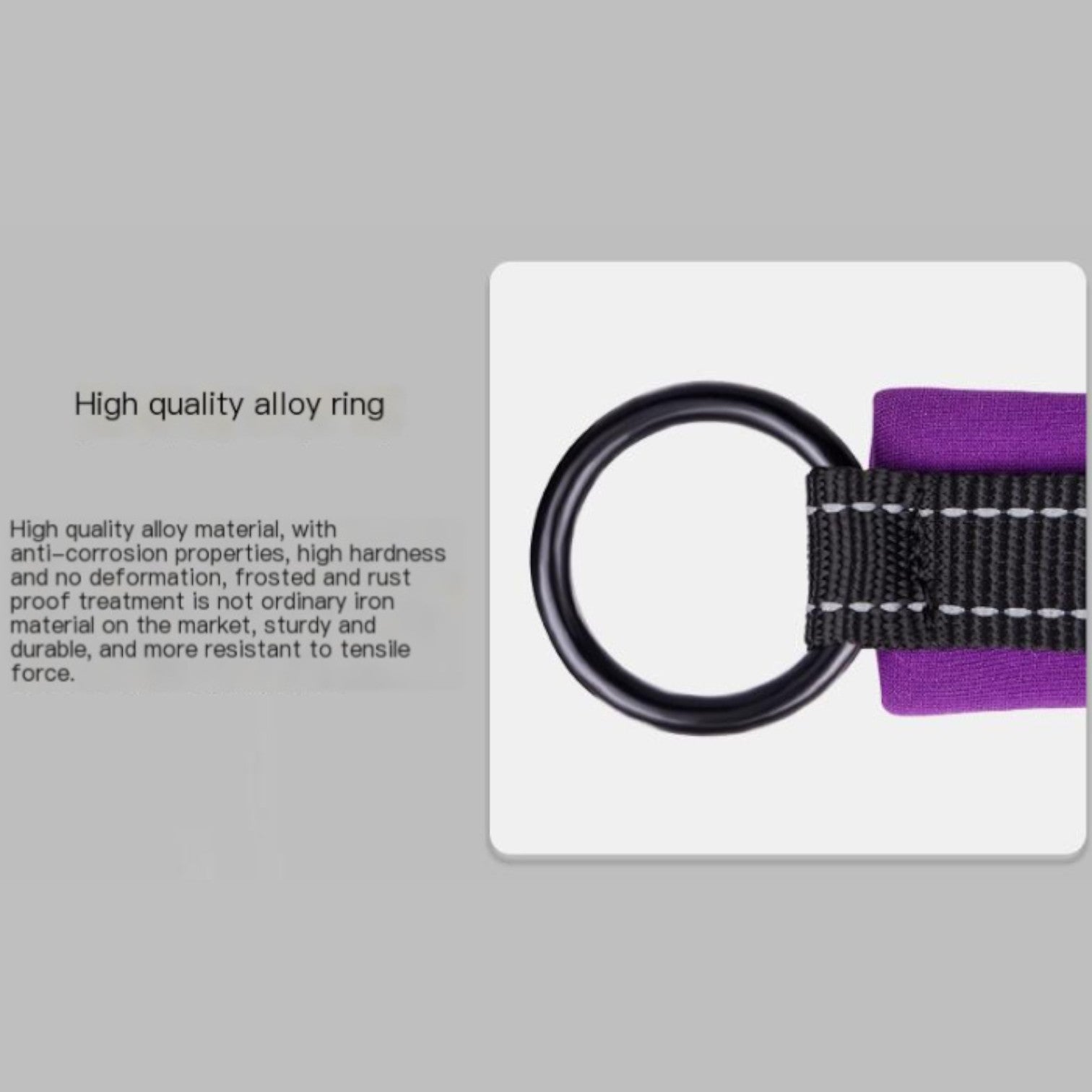 Reflective-Soft-Padded-Dog-Collar.jpg