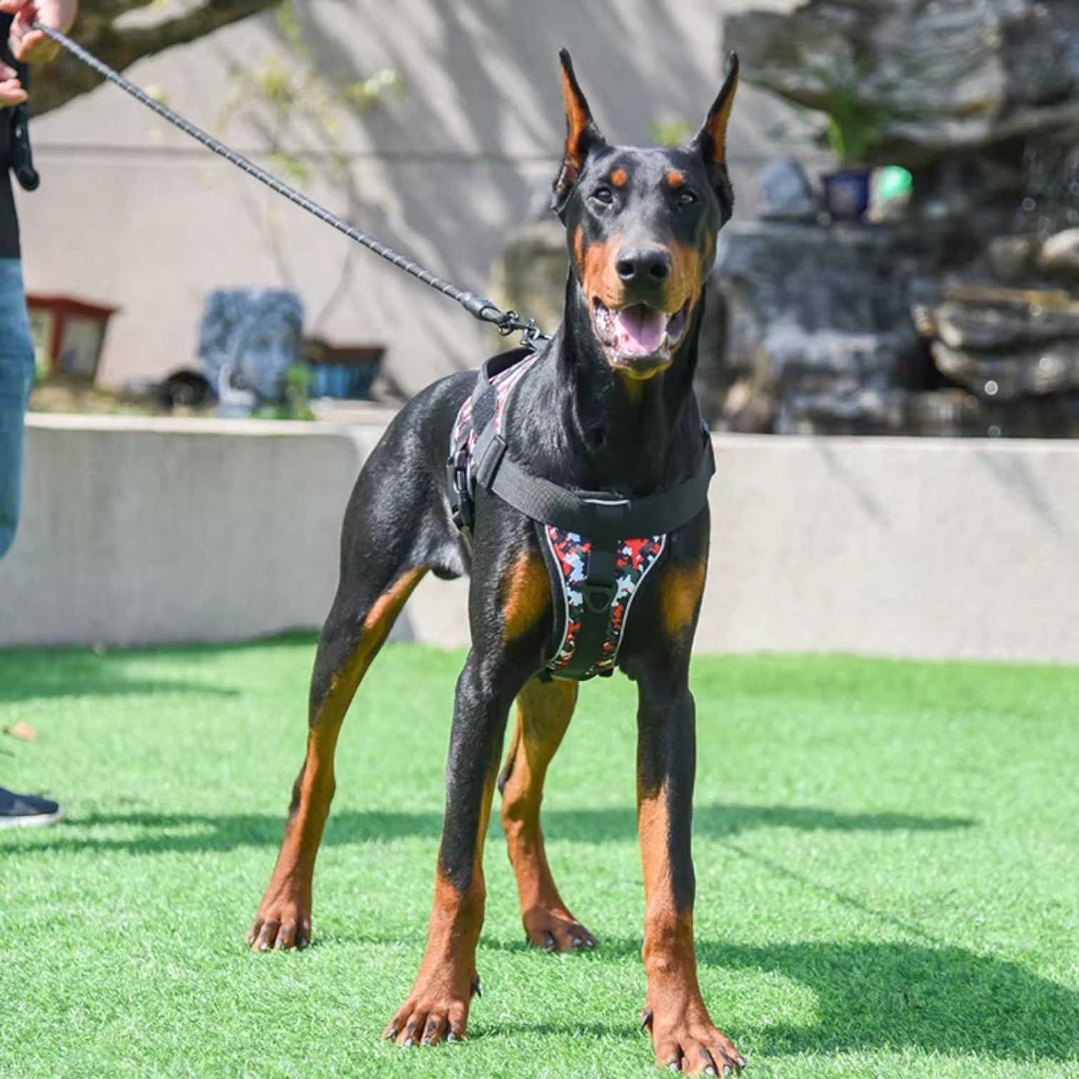 Reflective-Tactical-Dog-Harness-Leash-Set.jpg