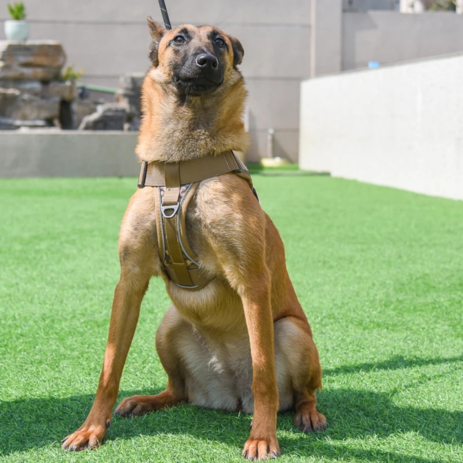 Reflective-Tactical-Dog-Harness-Leash-Set.jpg