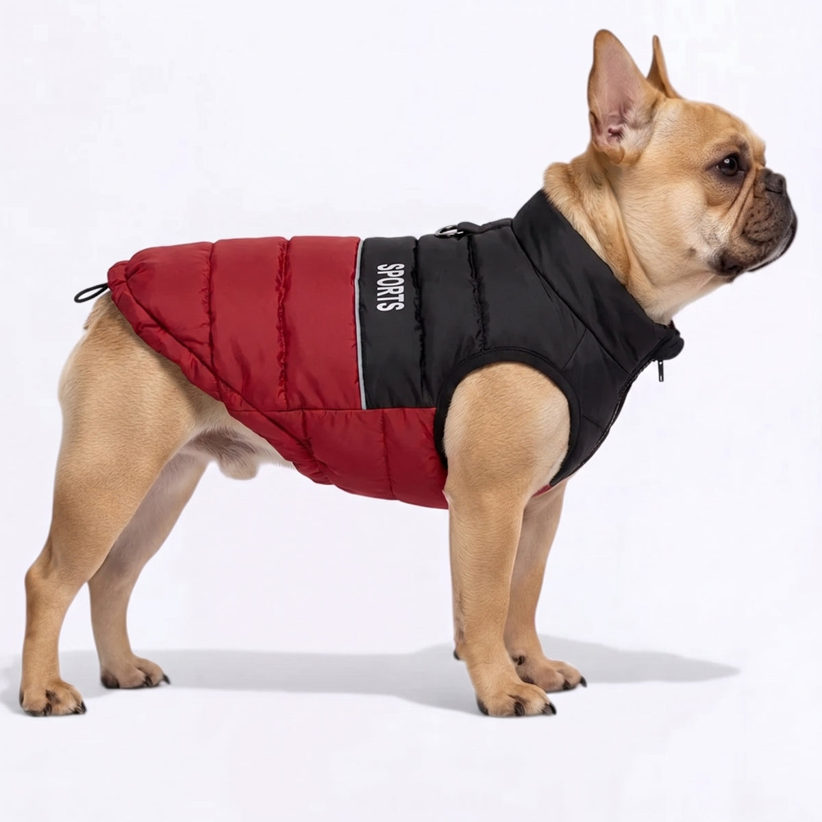 French Bulldog Premium Winter Sports Vest | Frenchie Insulated Sport Coat