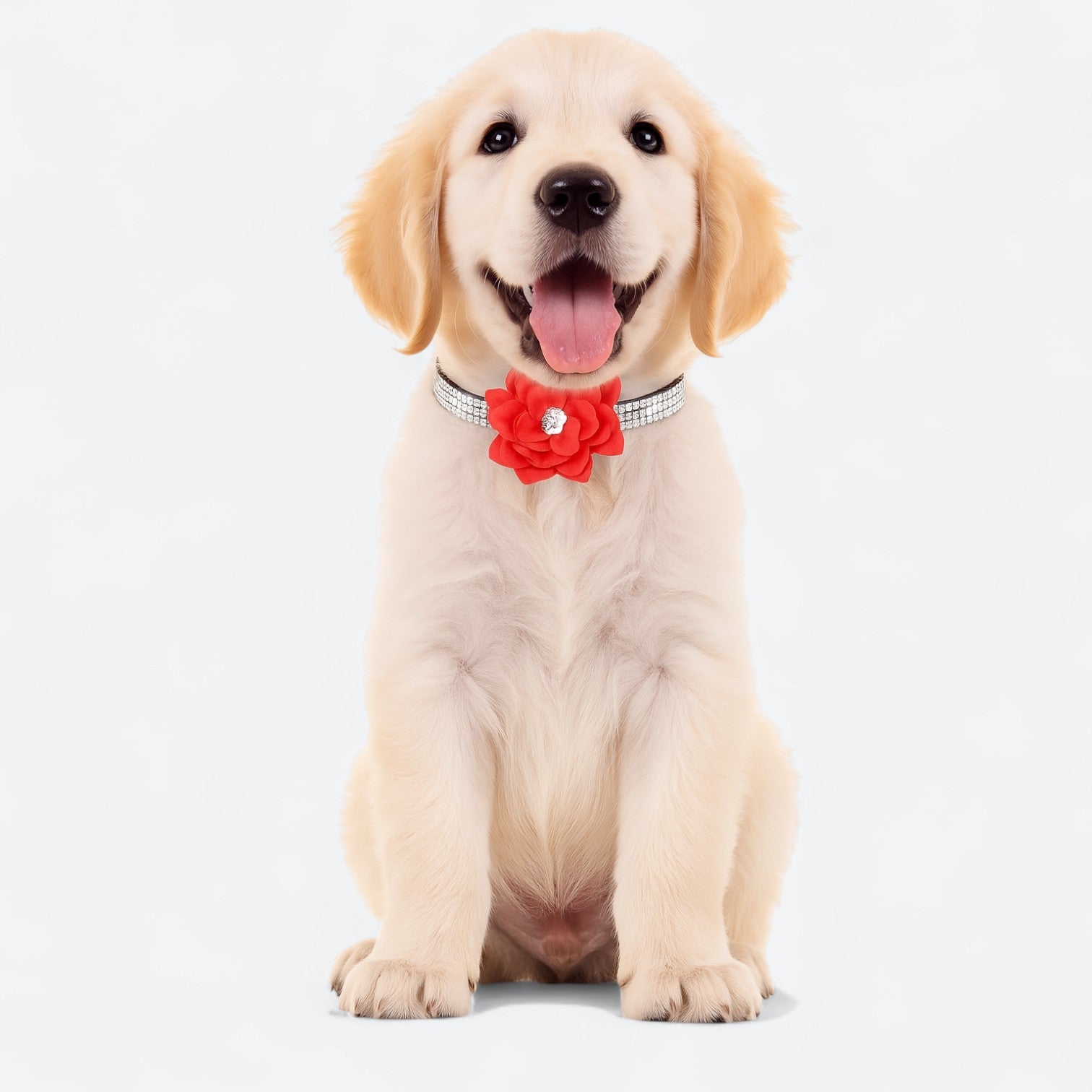 Rhinestone-Flower-Dog-Collar.jpg