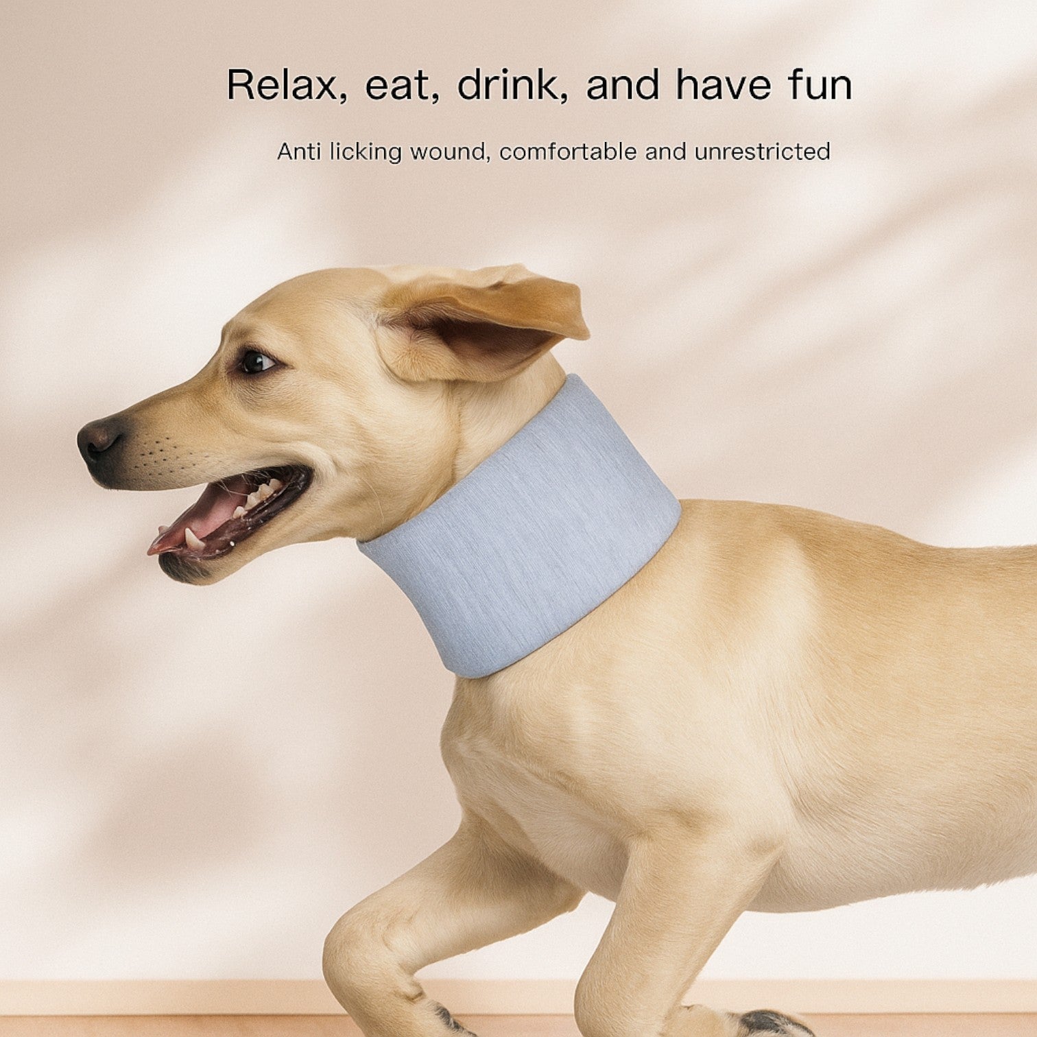 Soft-Anti-Lick-Recovery-Dog-Collar.jpg
