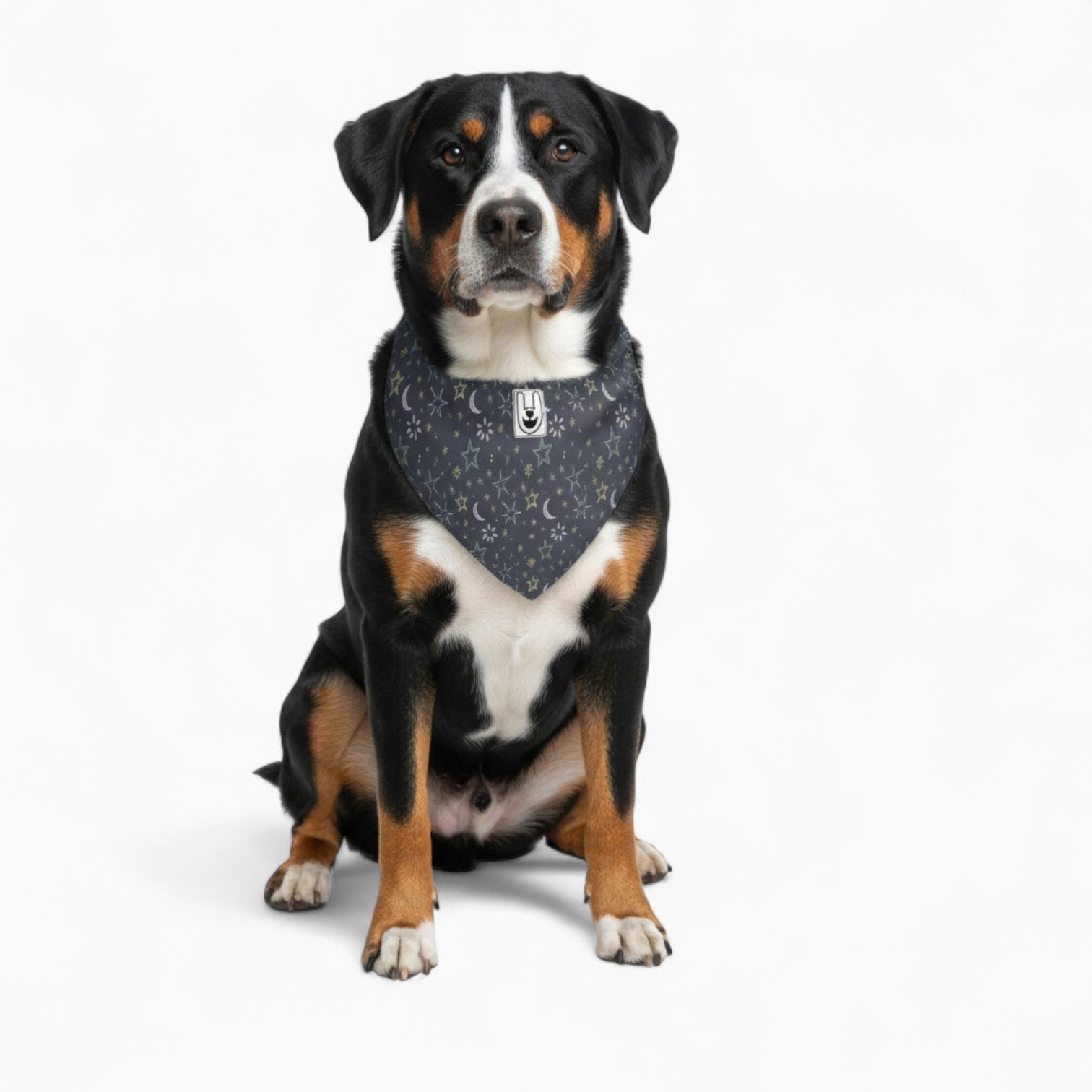 French Bulldog Double-Sided Bandana | Frenchie Vibrant Print Scarf