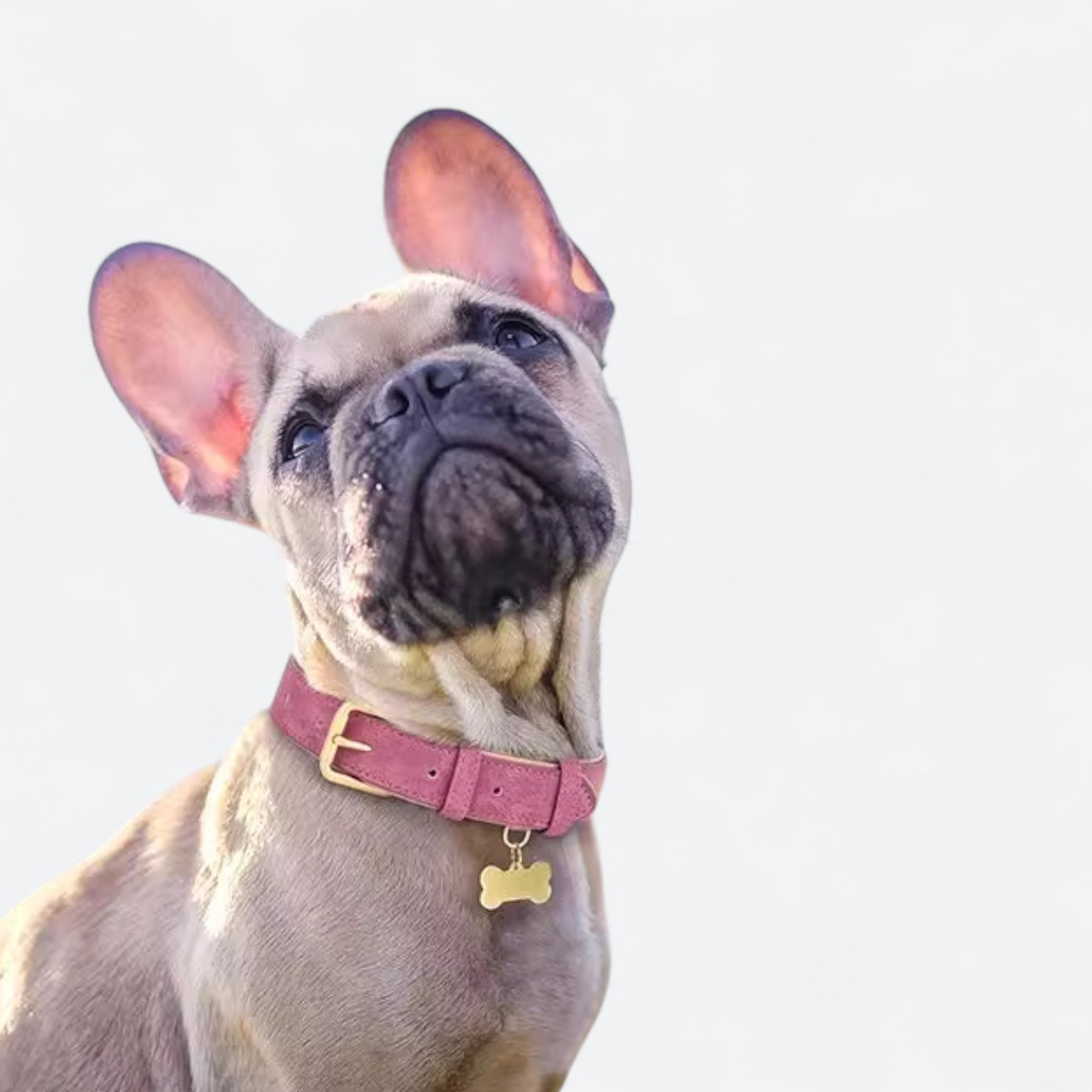 Soft-Leather-Dog-Collar-Leash-Set.jpg