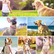 Soft-Leather-Dog-Collar-Leash-Set.jpg