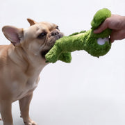 Squeaky-Plush-Crocodile-Dog-Toy.jpg