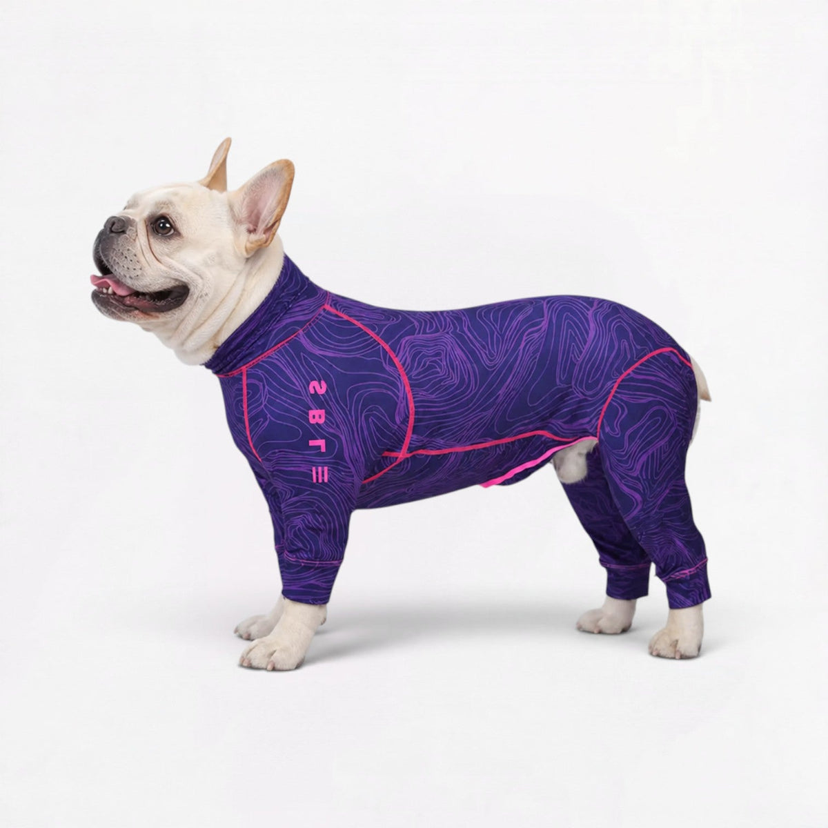Water-repellent Frenchie sun suit pajamas with high-visibility accents