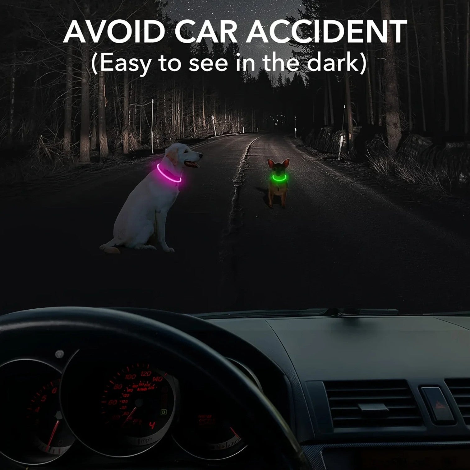 USB-Rechargeable-LED-Dog-Collar.jpg