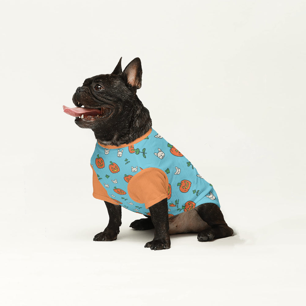 French Bulldog Wool Sweater | The Frenchie Shop Custom Print Cozy Knit