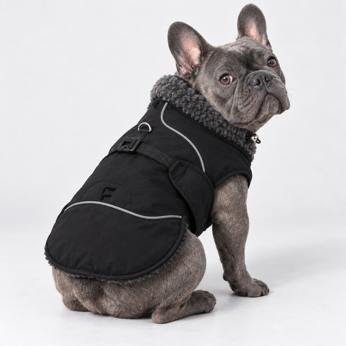 Adjustable High-Neck French Bulldog Winter Jacket — Black product photo